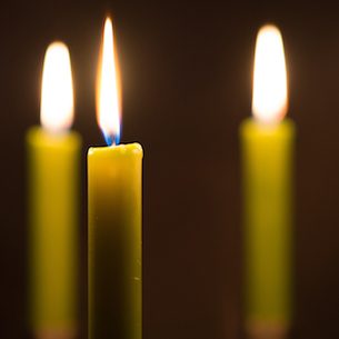 Photo de Madame Michèle SEGUES