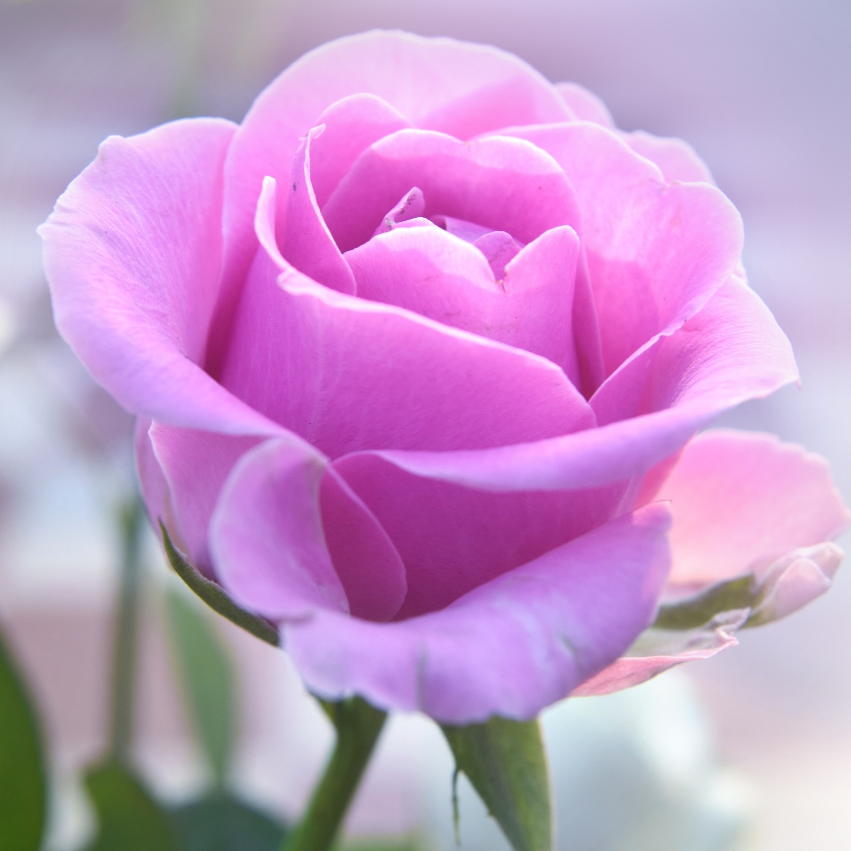 Photo de Claude BARDEAU